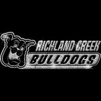 GLT102 SILVER GLITTER Thumbnail