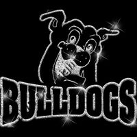 GLT32 SILVER GLITTER Thumbnail